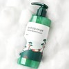 Round Lab Pine Soothing Cica Shampoo Scalp Hair Loss 400ml