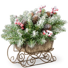 National Tree 10 Inch Dunhill Fir Sleigh with 6 Cones, 5 Red Berries and Snow (DUF3-800-10-1)