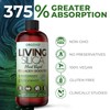 Living Silica Plant Based Collagen Booster | Vegan | Supports