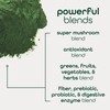Zena Nutrition Organic Super Greens Powder, 70+ Superfoods, 0 Sugar,