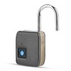 FipiLock Smart Fingerprint Padlock Anti theft Warehouse Dormitory Door Padlock(Gold)