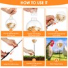 AwObEpl 2 Pack Peck Toy Lightweight Chicken Treat Dispenser Interactive