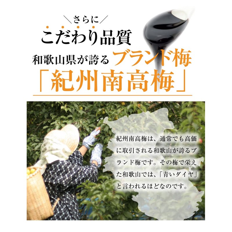 Fukubai Honpo 0% Salt Plum Extract (Plum Meat Extract) Soft
