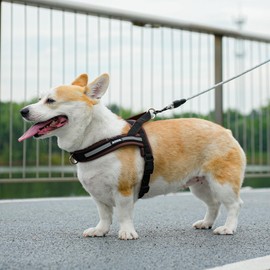 AIITLE Soft Padded Dog Vest Harness, No Pull Pet Harnesses with A Handle, Escape Proof and Quick Fit Reflective Dog Strap Harness, Easy for Training Walking Running for Small Dogs Black-Brown XS