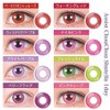 アシストシュシュ シュテラ ワンデーカラコン 【1箱6枚入り】度あり 度なし 14.5mm Assist ChouChou Shutella 1day