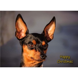 Miniature Pinscher Dog Christmas Card 'Happy Christmas' - Special Animal Xmas Card for Him Her from Pets Kids