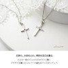 Shinjuku Gin no Kura, Choice of Birthstone, Platinum-Coated, Silver 925,