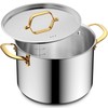 BEZIA 12 Qt Stainless Steel Stock Pot with Lid, Induction