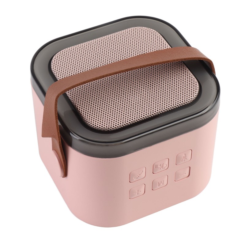 Karaoke Machine Mini Portable Wireless Bluetooth Handheld Microphone Speaker for