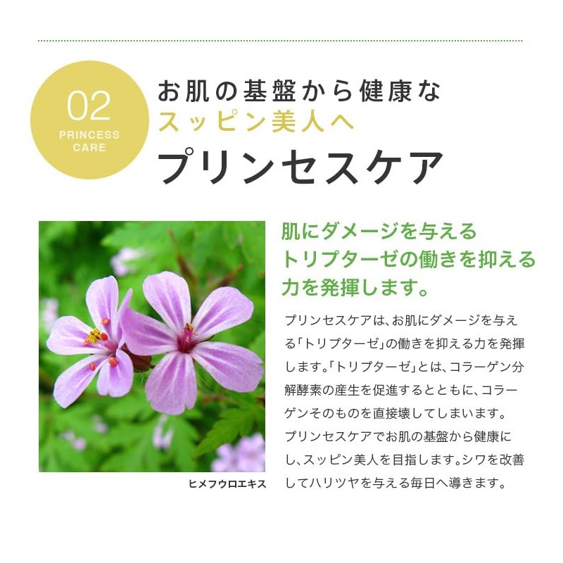 Pambesch Skin Concentrate Wrinkle and Sagging Essence