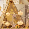 ZDAYOZ Starfish Shell String Light, 13.85 ft, 40 Warm White