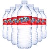 Fruit2o Strawberry Flavored Water, 16.9 fl oz Plastic Bottles (12