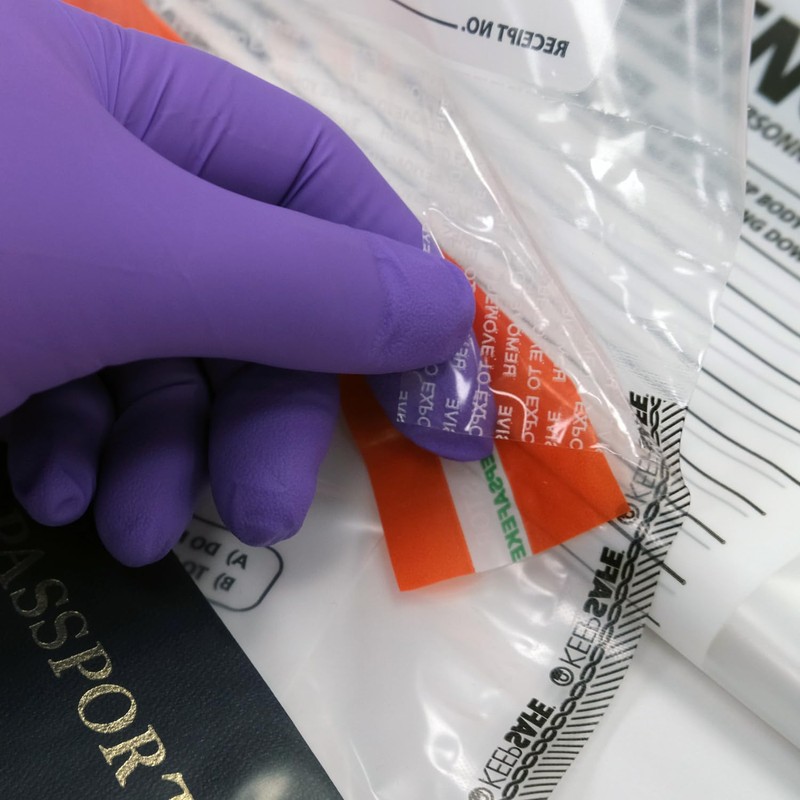 Small Plastic Evidence Bag, 6 x 10 inches, 100pk