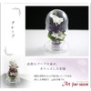 Art Four Seasons ● Offering Flowers 2 Colors Preserved Flowers
