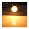 Lava Lamp Bulb 40 Watt, 6 Pack R39 R12 Reflector