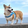 WINHYEPET Truelove Dog Harness Soft Mesh Reflective Breathable Step-In Dog