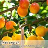 10 Pcs Metal Tree Support, Tree Straightening Device, Branch Crutch