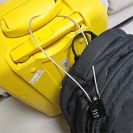 50cm Long Anti-Loss & Anti-Theft Security Wire Locking Device