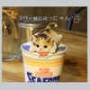 Devarier ca216y Cat Figurine, Tea Tiger, Cup Ramen, Magnet, Resin,