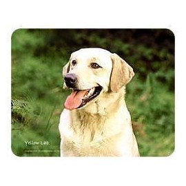 Lumalack Yellow Lab Coasters