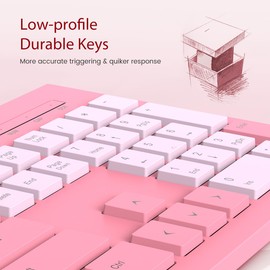 Computer Keyboard Wired, Plug Play USB Keyboard, Low Profile Chiclet Keys, Large Number Pad, Caps Indicators, Foldable Stands, Spill-Resistant, Anti-Wear Letters for PC Laptop (Rose Pink, 1-Pack)