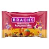 Brach's Autumn Mix, 11 oz