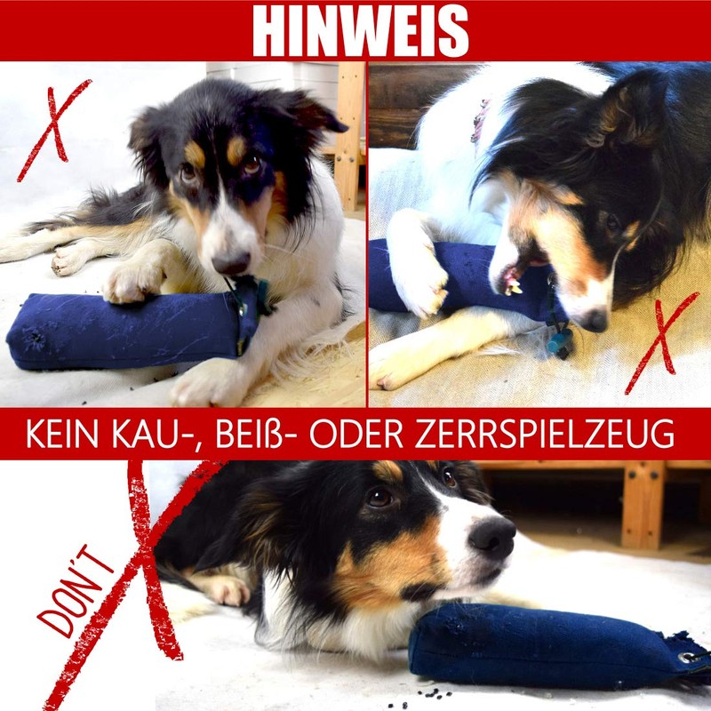 Romneys Standard Dummy 500 g, Approved for Fetch Tests, Robust