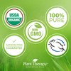 Plant Therapy Organic Blue Yarrow Essential Oil / Plant Therapy