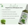 Wheatgrass Juice, Cold Pressed, No Added Sugar, No Added Flavour,