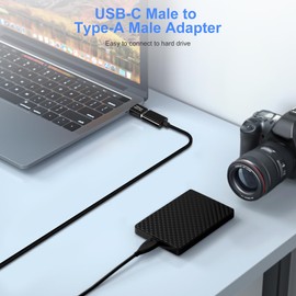 AIYEEN USB 3.0/3.1 Male to USB-C Male Adapter (2 Pack), OTG 3.0/3.1 USB A to Type-C Adapter, Fast Data Transfer up to Gen2 10Gbps, USB C Connector Connection or Data Cable Extension