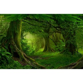 ZatiasMiller Tropical Forest Terrarium Backgrounds Huge Trees Reptile Habitat Background Rainforest Aquarium Background Fish Tank Backdrop Decors Sturdy Polyester Background Decor Vinyl 36x18in