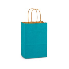 NWP Caribbean Blue Recycled Kraft Paper Shopping Bags - Rose Size - 5.5 x 3.25 x 8.375in. - Pack of 25