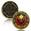 Phoenix 10 Year Sobriety Coin Flame Ten Year Sobriety Chip