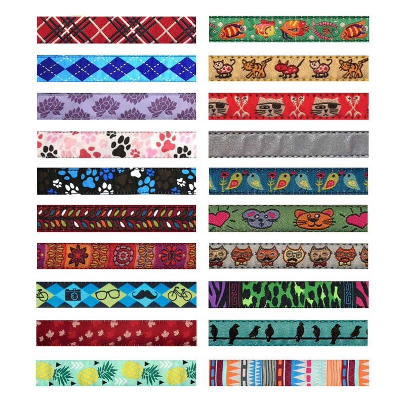 RC Pet Products 1/2 Inch Kitty Breakaway Cat Collar, 8