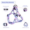 QQPETS Dog Harness Leash Set Adjustable Heavy Duty No Pull
