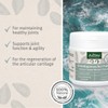 AniForte Green Lipped Mussel for Dogs and Cats 250g Powder