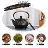 RekRang Longevity Crane Cast Iron Teapot, Japanese Style Tetsubin Tea