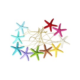 LJY 40 Pieces 2.3 Inches Resin Pencil Finger Starfish with Rope for Christmas Tree Hanging Ornaments Beach Theme Wedding Home Decor & DIY Craft Project, 10 Colors