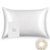 Alaska Bear Silk Pillowcase for Hair and Skin, 100% Mulberry