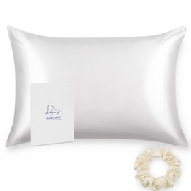Alaska Bear Silk Pillowcase for Hair and Skin, 100% Mulberry Silk Pillow Cases Queen Size for Beauty Sleep with Random Scrunchy Gift Set Better Than Poly Satin Cover, 1pc, Cool White