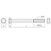 DAIDOHANT 10175428 Z Mark Hex Bolt (Nominal Diameter) M0.5 x