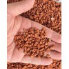Horticultural Calcined Clay Soil Bonsai Cactus Soil Additive for Succulent