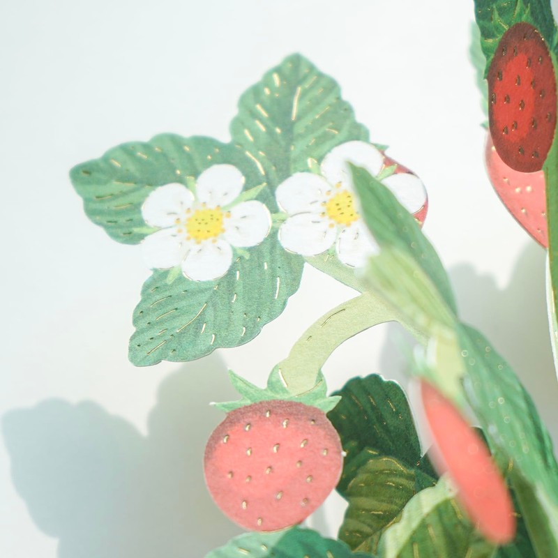 Greeting Life Blooming Card Mini Strawberry KE-58