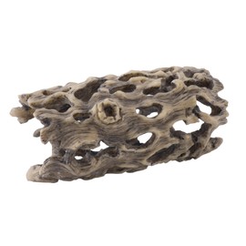 Exo Terra Cholla Cactus Skeleton, Small