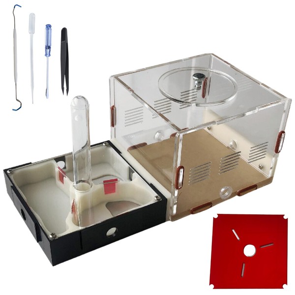 Ant Farm Castle Ant Habitat Science Learning Kit Ant Farm