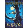 Iron Maiden - Music Poster (Fear Of The Dark) (Size: