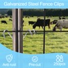 ZENFUN 250 Pcs T-Post Wire Clip Galvanized Steel Fence Clips,