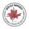 Daylily Nursery 3 Big Sky 'Sundown' Coneflower/Echinacea in 3.5 inch