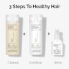 Giovanni Invigorating Tea Tree Shampoo - Triple Treat Strengthening, Conditioning,