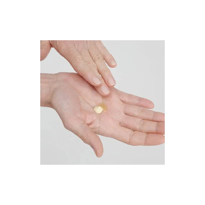 Dr. Hauschka Dr Hauschka Regenerating Intensive Day Cream 40ml